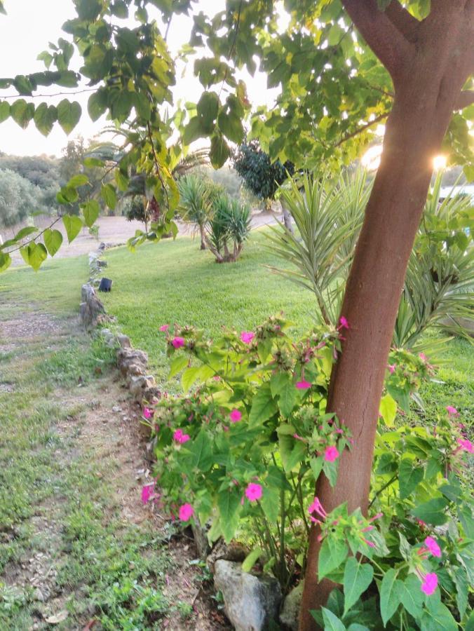 Willa Quinta Da Perdiz Country House Santarém Zewnętrze zdjęcie